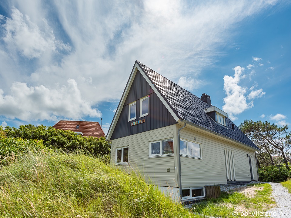 Aan de kust, Paardrijden op het strand op Vlieland