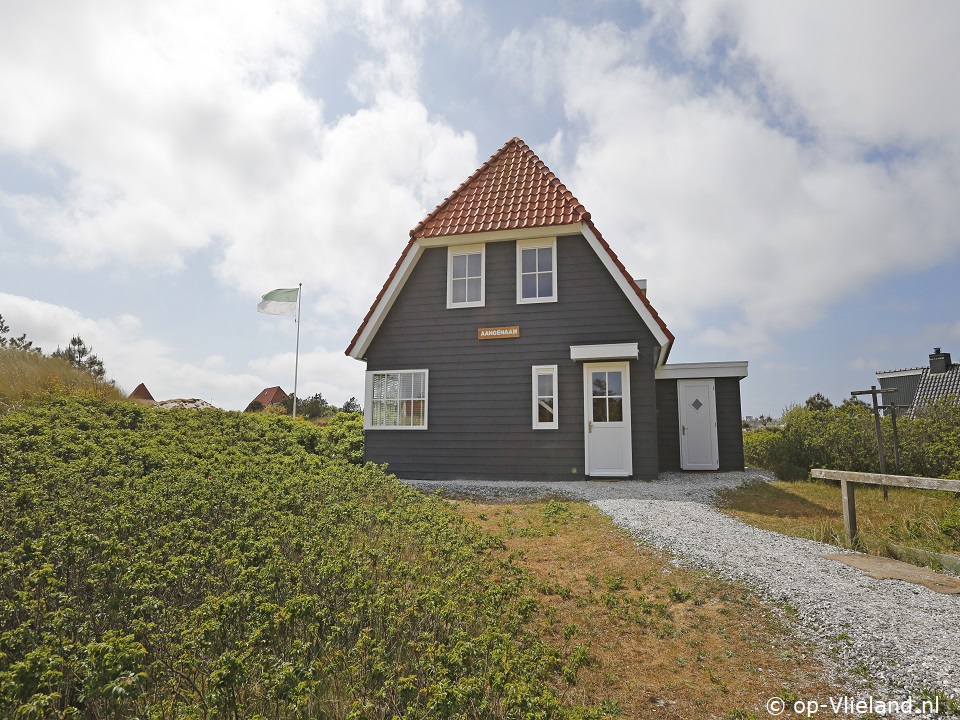 Aangenaam, Paardrijden op het strand op Vlieland