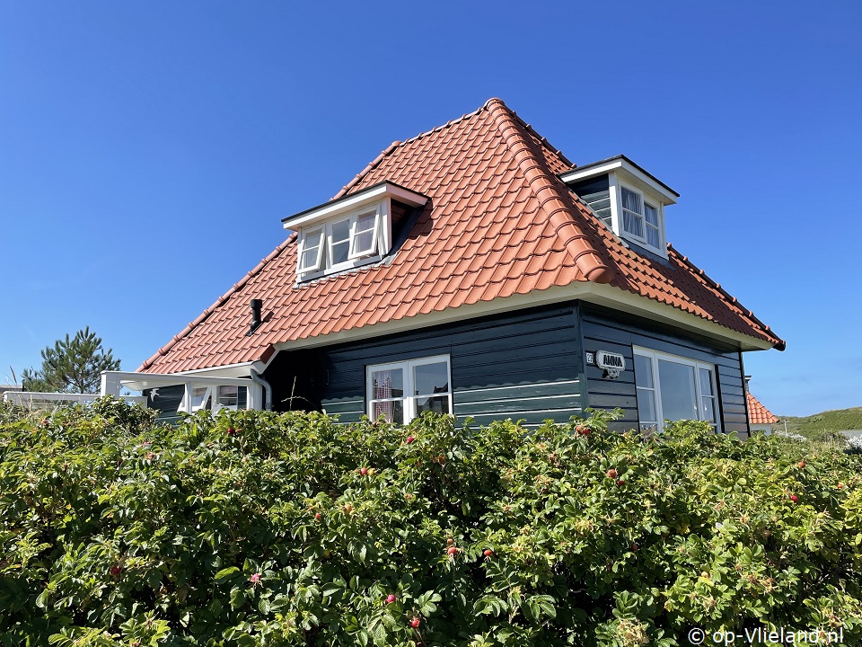 Anna, Zelf Cranberries plukken op Vlieland