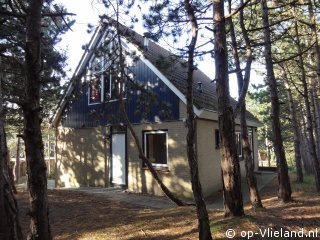 Vlaamse Gaai, Winter op Vlieland