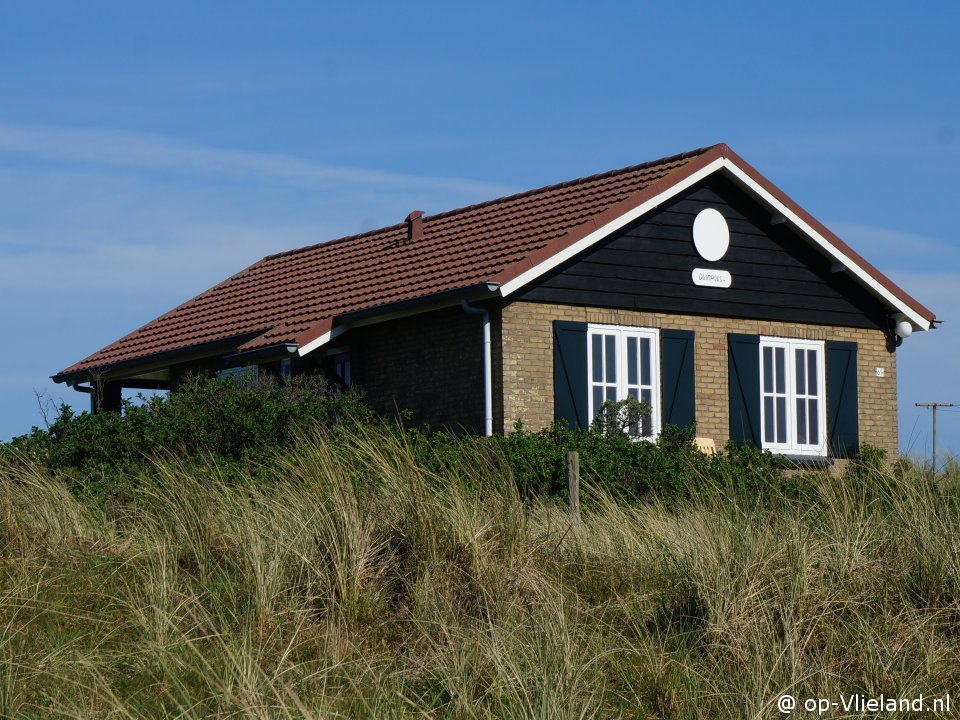 Duinroos, Paardrijden op het strand op Vlieland