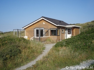 Eider, Winter op Vlieland