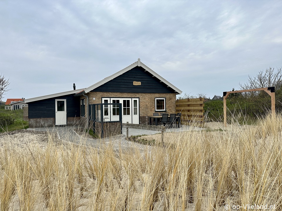 Goudvink, Paardrijden op het strand op Vlieland