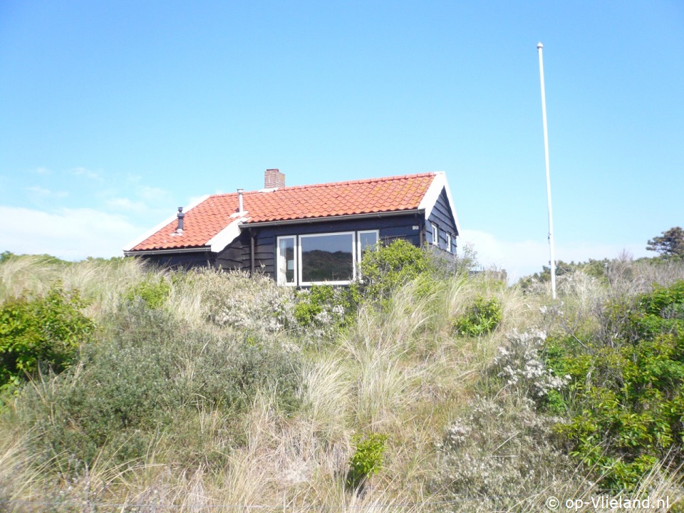 Het Kaapje, Paardrijden op het strand op Vlieland