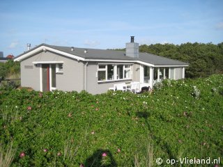 `t Hoge Land, Paardrijden op het strand op Vlieland