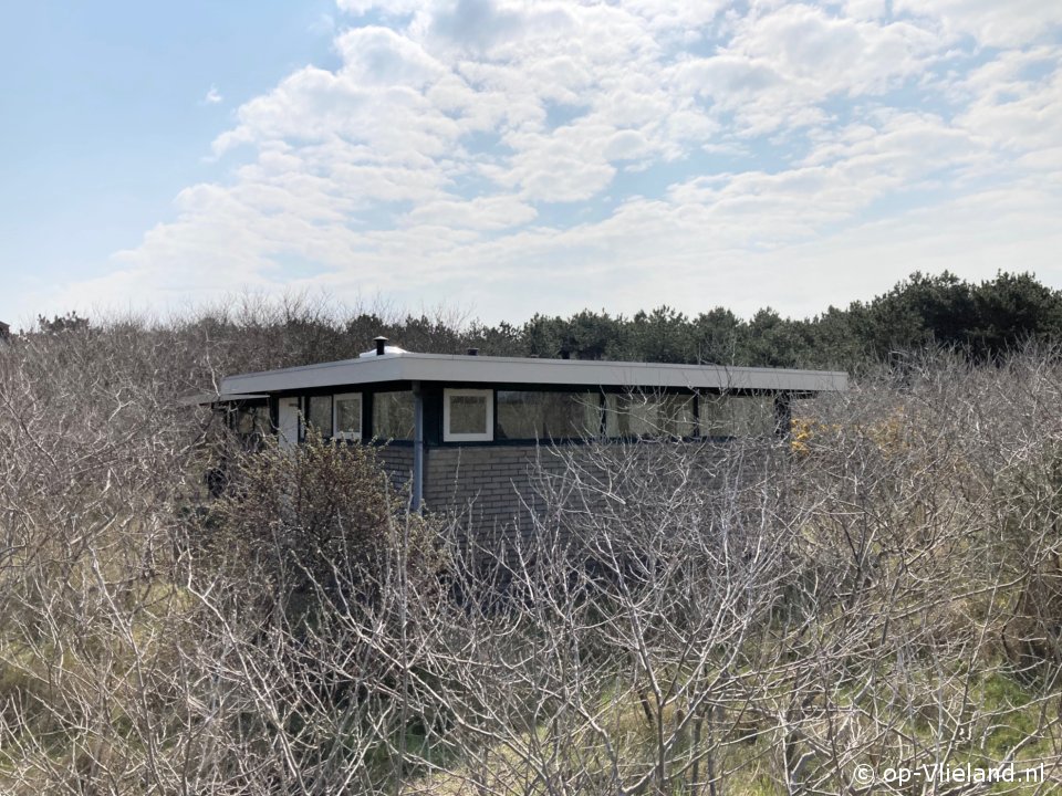 Hoogaars, Gezondheid op Vlieland