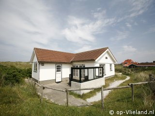 Klaproos, Paardrijden op het strand op Vlieland