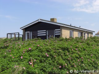 Notenkraker, Uitwaaien op Vlieland