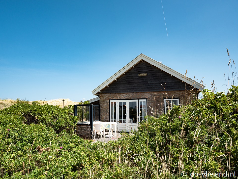 Pimpelmees, Strand op Vlieland