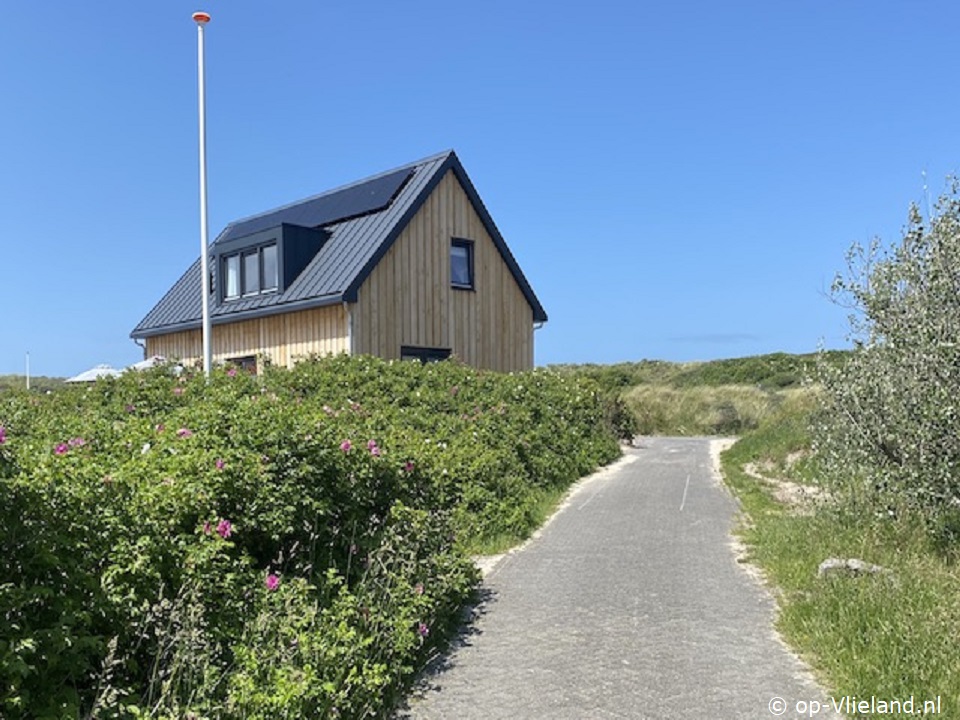 Sloep, Paardrijden op het strand op Vlieland