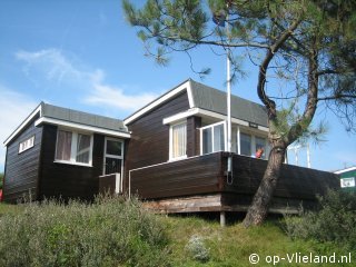 Stern, Paardrijden op het strand op Vlieland