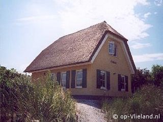 Thalassa, Paardrijden op het strand op Vlieland