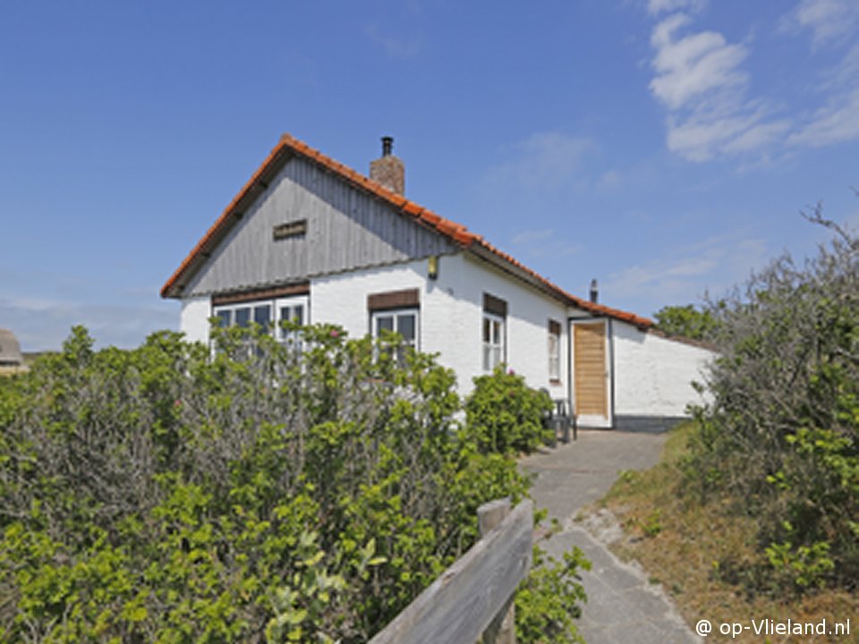 Tobbedanser, Paardrijden op het strand op Vlieland