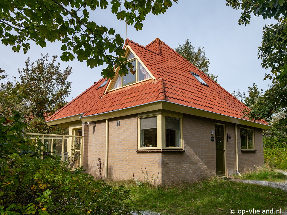 Tomare, Paardrijden op het strand op Vlieland