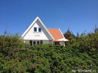 `t Toppunt, Paardrijden op het strand op Vlieland