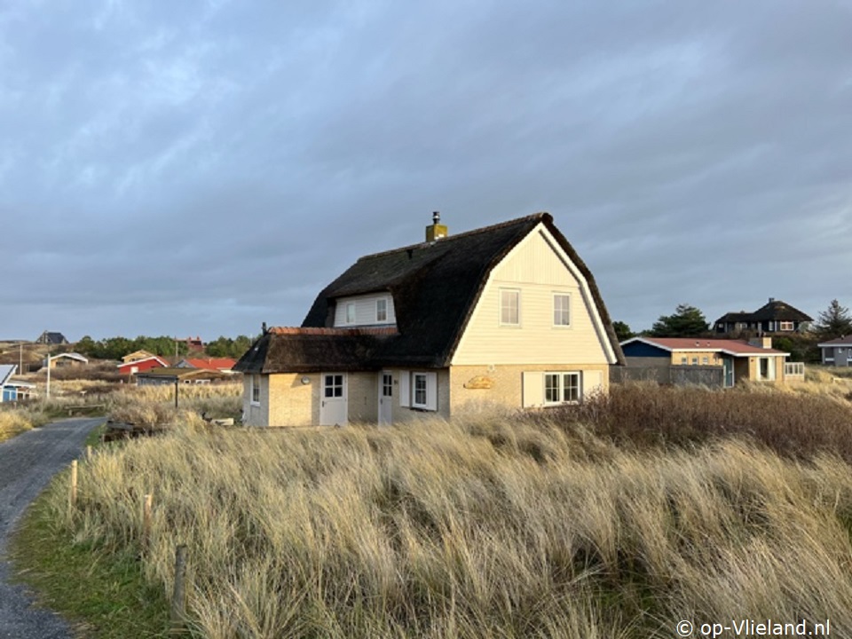 Klik hier voor meer informatie over Vakantiehuis Zonnebloem