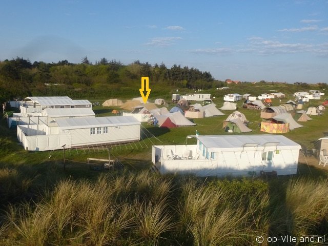 Vergrote Zilvermeeuw