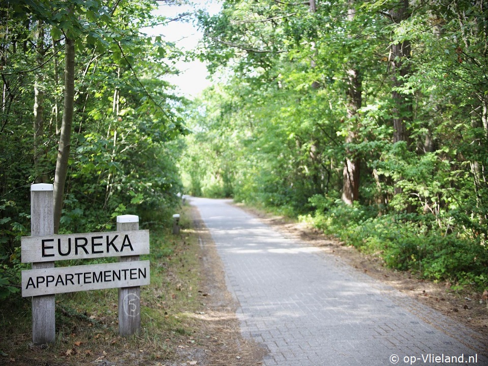 Eureka 19