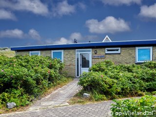 Jan-van-gent, Uitwaaien op Vlieland