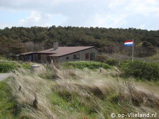 Klaverblad, Uitwaaien op Vlieland