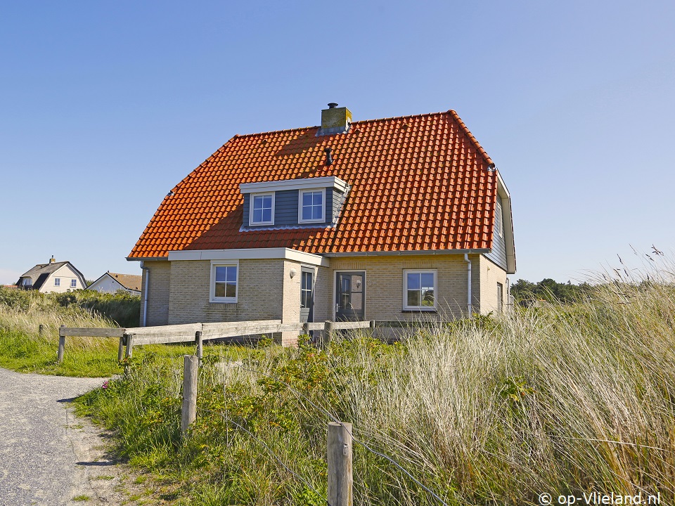 Pallieter, Uitwaaien op Vlieland