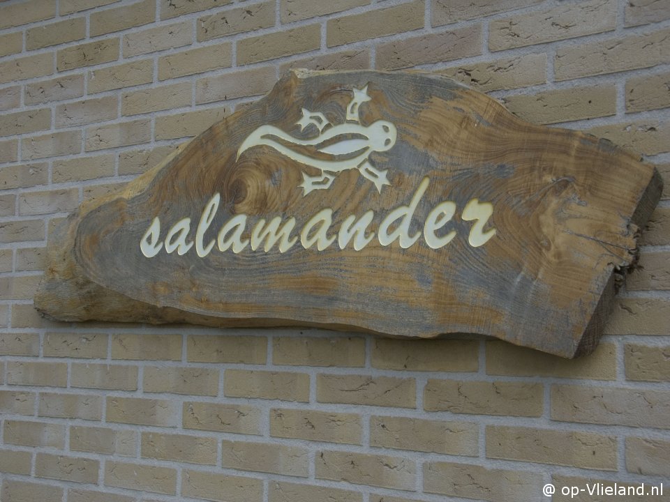 Salamander