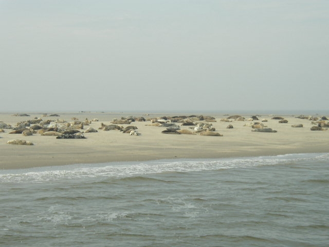 Dagje Vlieland - 1 Dag naar Vlieland