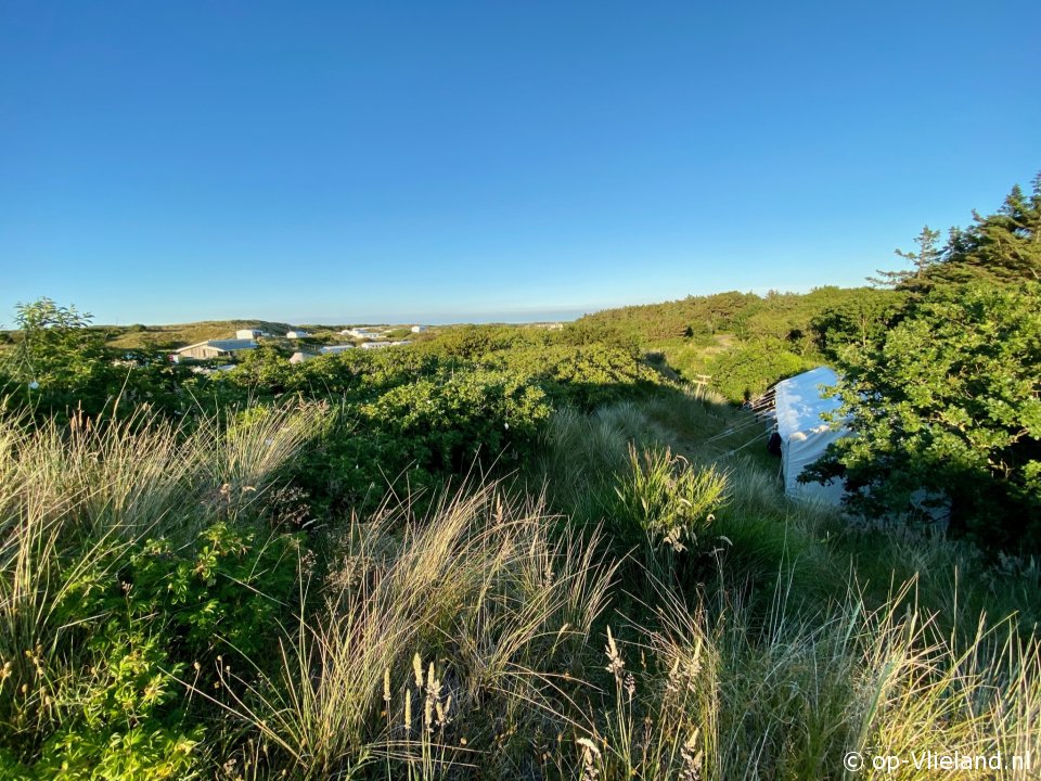 De Waddenschat