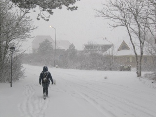 Winter auf Vlieland