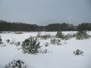 Christmas cross country Vlieland