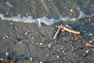 Dokter Deen op Vlieland