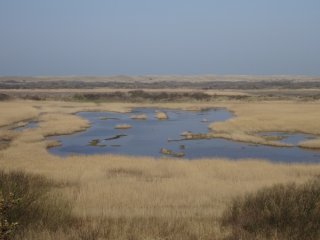 Exposities op Vlieland