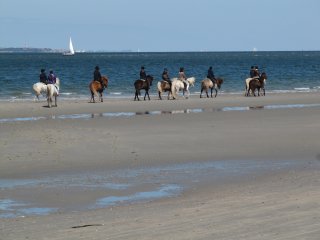 Paardrijden op het strand op Vlieland