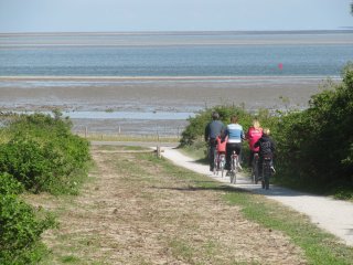 Weltnaturerbe Wattenmeer Vlieland