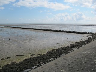 Werelderfgoed Waddenzee Texel
