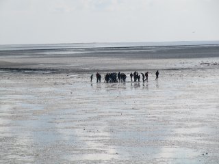 Weltnaturerbe Wattenmeer Vlieland